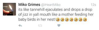 Illustration for article titled Latest Miko Grimes Twitter Rant Torches Ryan Tannehill
